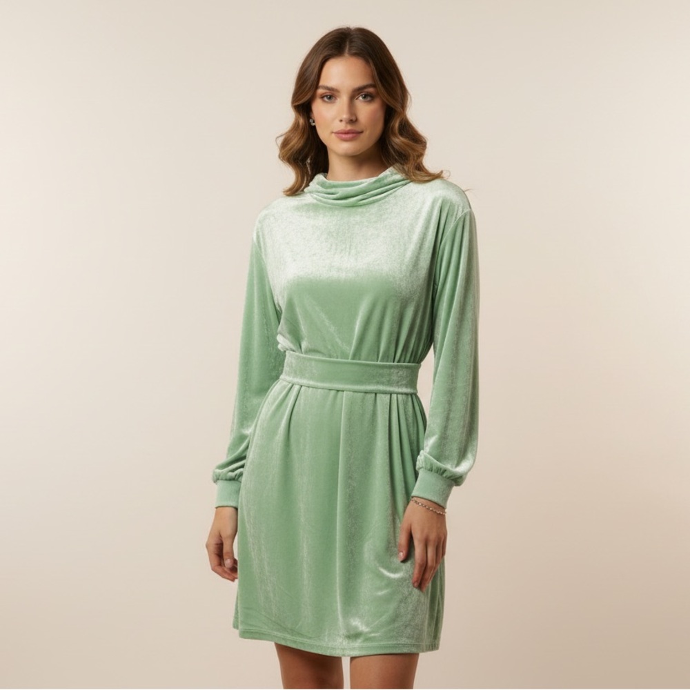 Eros Green Velour Hooded Dress NWT Large with Pockets
